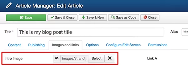 Optimize ด้วย CSS และ JavaScript